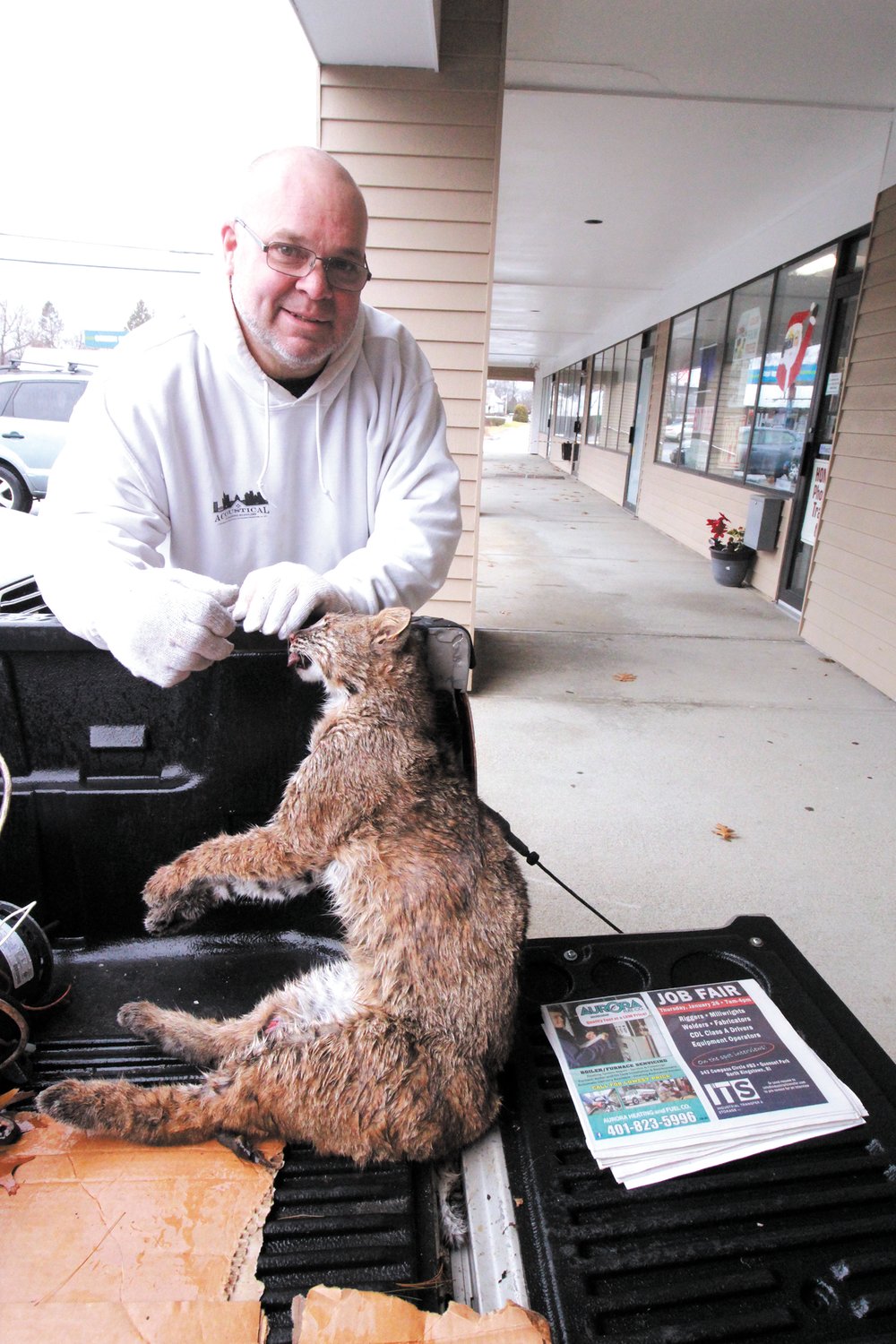 CAT’S IN THE TRUCK: Warwick resident and wildlife enthusiast Arthur Dunn spotted this dead bobcat on the side of Interstate 295 in Johnston. He picked it up to take to RI DEM scientists, hoping they could learn something about the animal. Bobcat sightings are on the rise in Rhode Island, and researchers are looking into the reasons why.